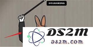如何成功破解兔子先生的魔术秀通关技巧与攻略