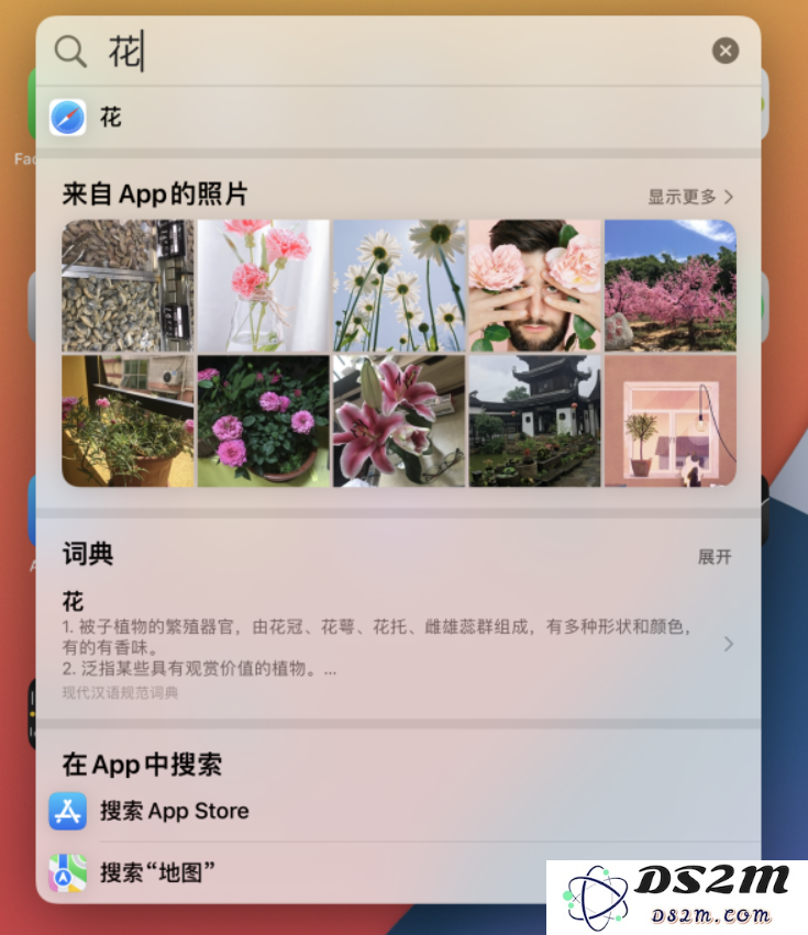 小技巧：如何在 iOS 15 中利用聚焦功能高效搜索手机内的图片
