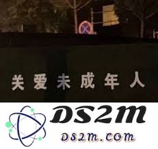 江湖入门新手必备购物清单和推荐物品有哪些