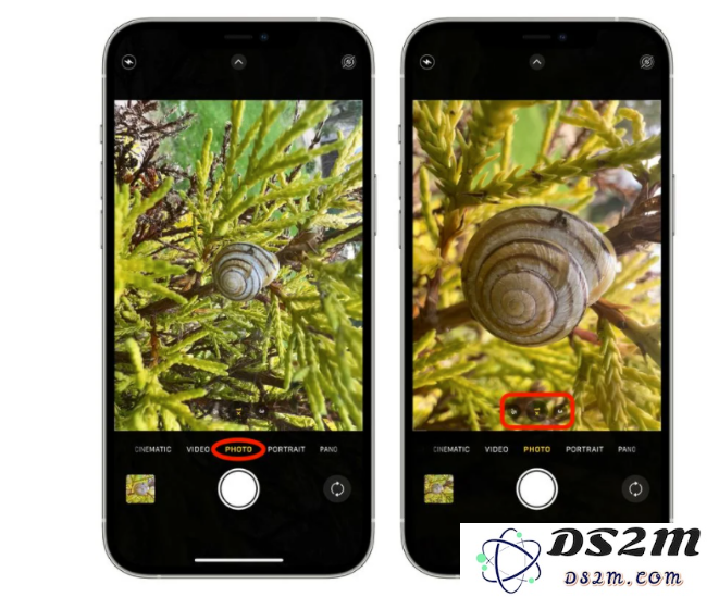 如何利用 iPhone 13 Pro 系列高效拍摄和掌控微距照片及视频的技巧和方法