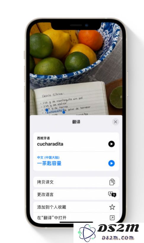 iOS 15 中的“实况文本”功能支持哪些设备？如何使用？