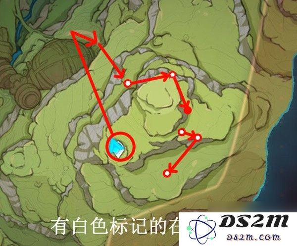 原神须弥树王圣体菇位置