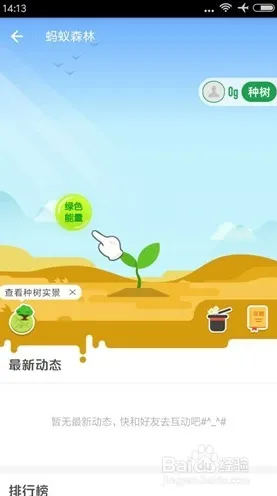 抖音热门｜实用教程｜版本更新快讯｜蚂蚁森林快速成长秘籍，从初学者到绿洲大亨的终极攻略