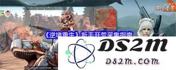 在逆境中重塑自我：探索开荒阶段的资源整合策略与方法