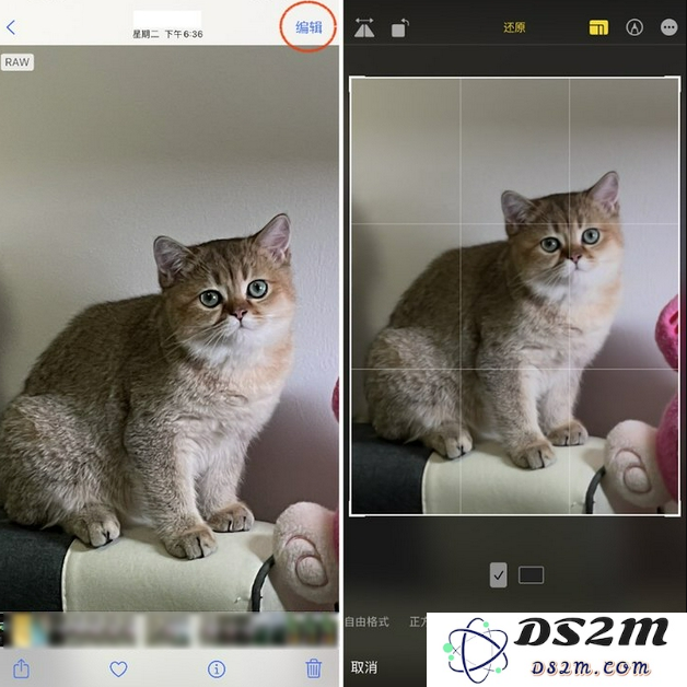 如何解决苹果 iPhone 12 Pro 拍照时出现的过度锐化问题以提升照片质量