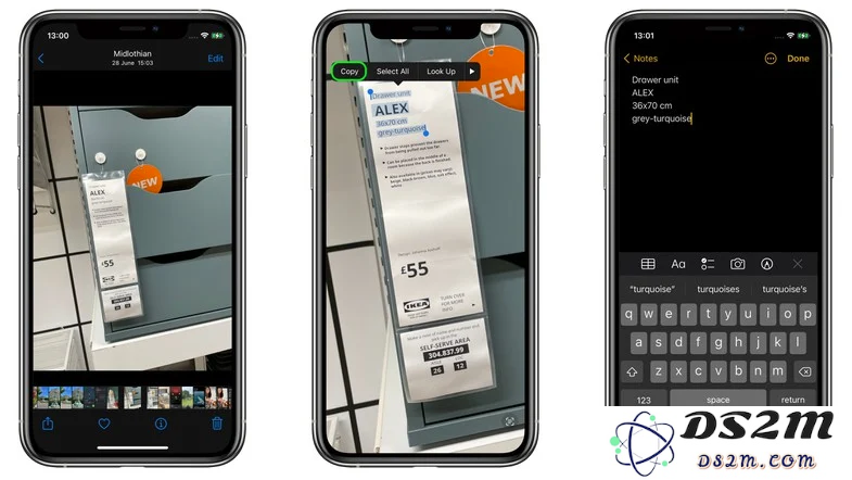 iOS 15 小技巧：从照片中复制和粘贴文本