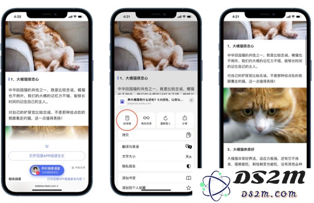 iOS 15中有哪些好用的辅助功能？iOS 15好用辅助功能汇总