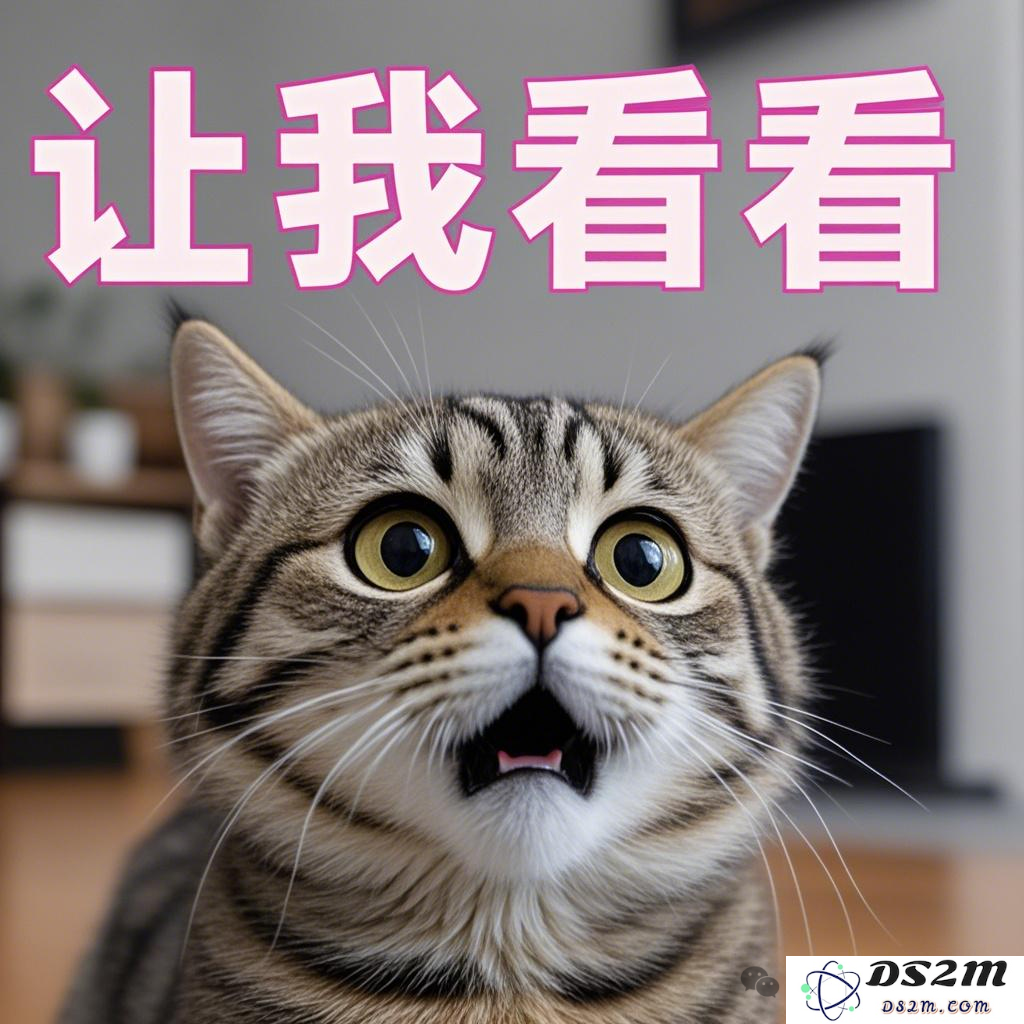 中文海报设计，赛道一夜颠覆