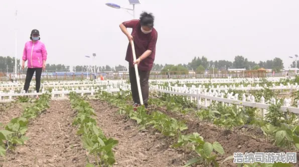 终极双倍掉落攻略，零氪玩家的翻身之路！新手必备活动资源优化全攻略，助你轻松获取丰厚奖励