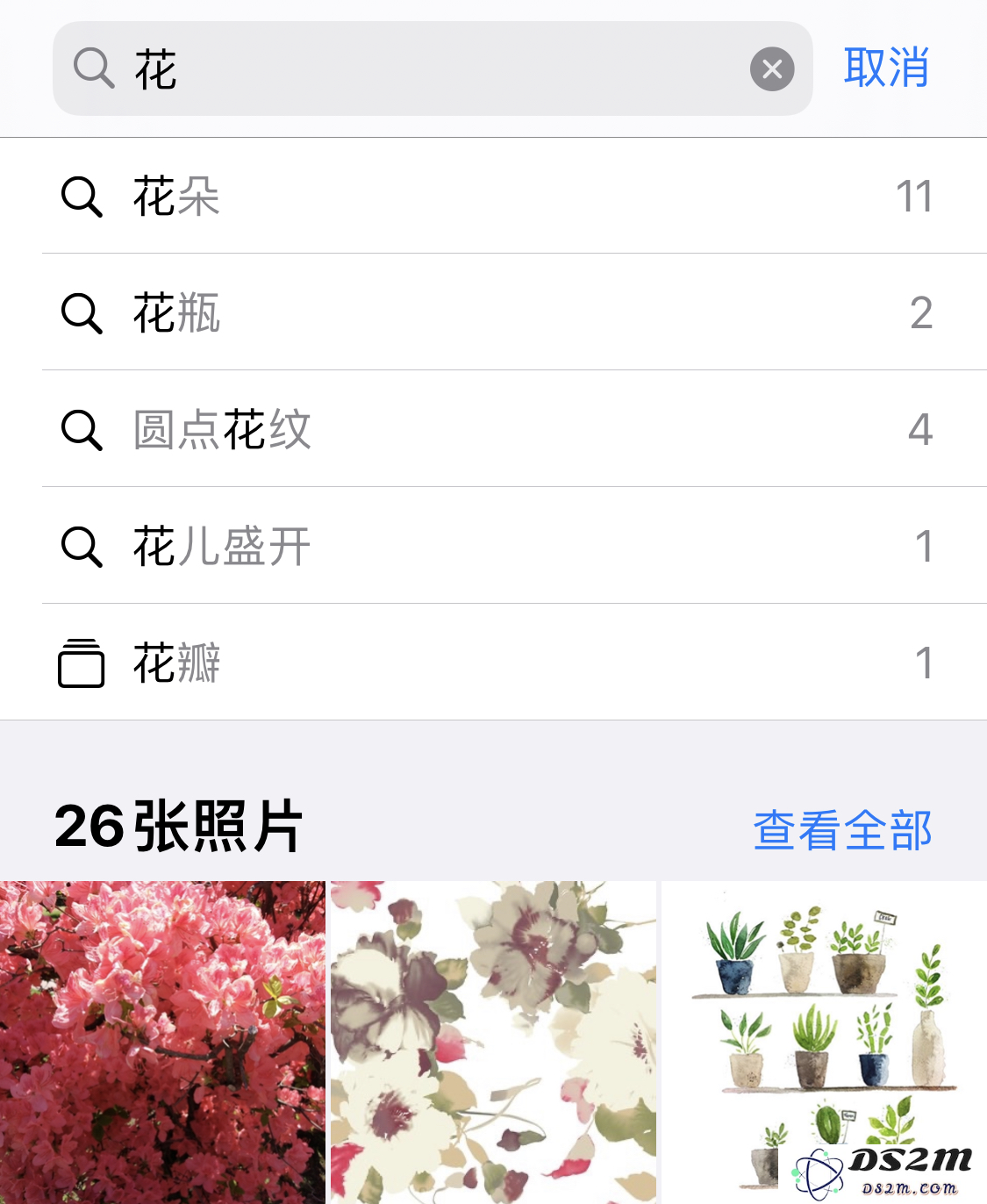 iPhone 小技巧：有效管理和整理相册