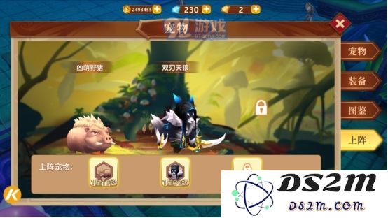 地牢破坏神中宠物系统的玩法详解与技巧分享，助你畅玩乐无穷