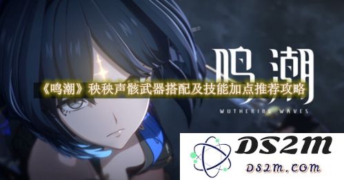 鸣潮巨布偶声骸的技能解析及其在游戏中的应用与策略
