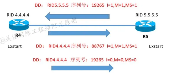 ‖突发｜解析 最新攻略，0 必入｜v0425｜攻略｜新手必看！V0.425版本资源分配避坑指南＆SSR角色强度榜