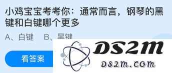 钢琴黑键与白键数量的详细对比分析及其对演奏的影响