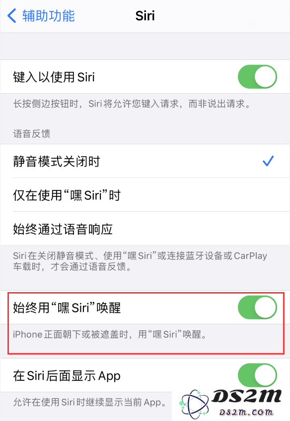 使用 iPhone 12 时 Siri 不会正常回应怎么办？