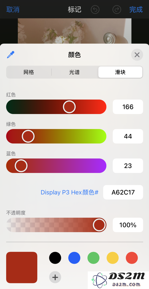 iPhone 12 如何在照片上涂鸦？