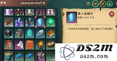 创造与魔法中如何寻找美人鱼气泡的详细位置坐标指南