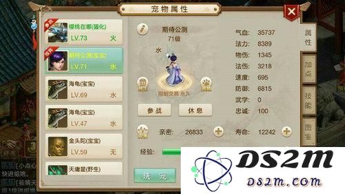 问道手游中宝宝的各种属性详解与最佳配置推荐