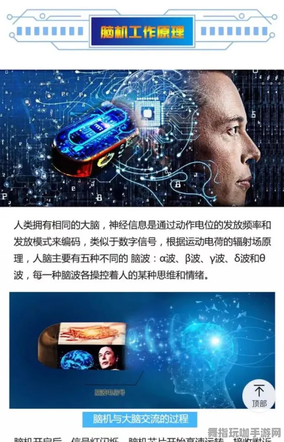 全攻略-淘宝互动-2025年4月最新版-脑机接口游戏