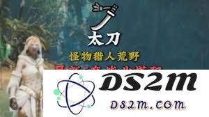 怪物猎人荒野太刀满会毕业配装指南与最佳装备推荐分析