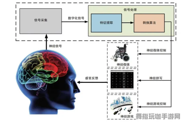 S2赛季独特特性-脑机互动游戏-淘宝互动平台-神经信号编码的完整流程解析