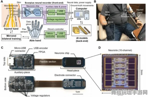 脑机接口专用版-跨平台联机-隐藏任务解析-GDC 2025游戏开发者大会已结束37天