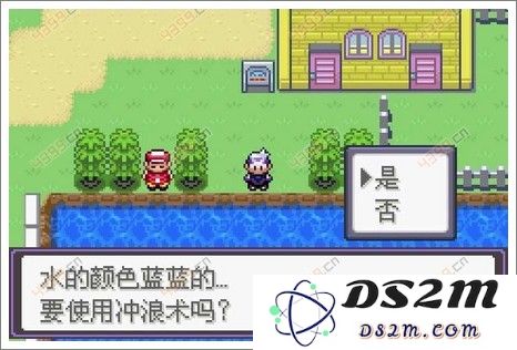 口袋妖怪漆黑的魅影