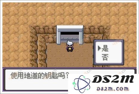 口袋妖怪漆黑的魅影