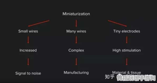 脑机接口2.0游戏来袭 - 五一假期必玩项目 - 距离上线仅剩6天 - 快来关注微信小程序
