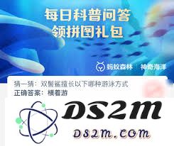 鲨鱼如何凭借独特的生理结构和游泳技巧实现快速游动的秘密