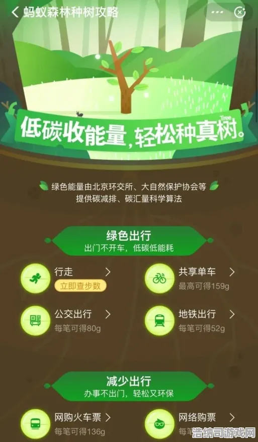 独家解析蚂蚁森林能量保护机制 2025年4月数据党必看攻略｜罩子时间轴+双盾叠加公式+防偷血泪史