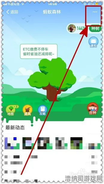深入分析蚂蚁森林能量保护体系 2025年4月数据追踪攻略｜时间轴与双重防护叠加公式及防盗取经验分享