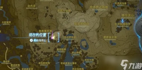 ｜首曝｜新手必看 硬核｜2025年04月 塞尔达传说，王国之泪元素反应全解析，从萌新到大神的进阶指南