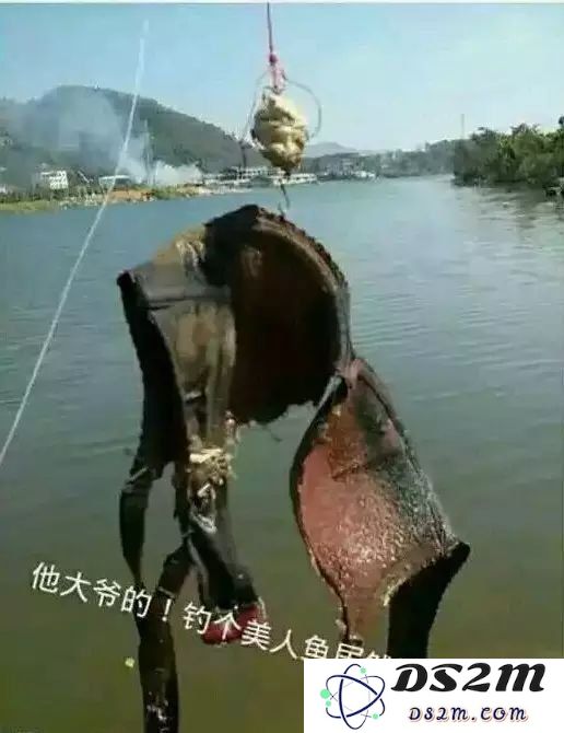 原神钓不到鱼