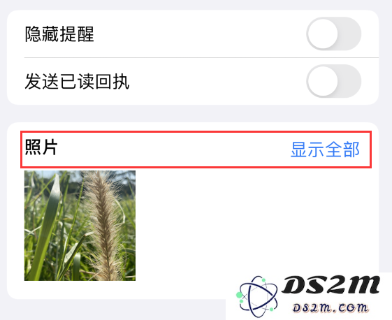 iPhone 小技巧：储存信息中收到的照片或文件