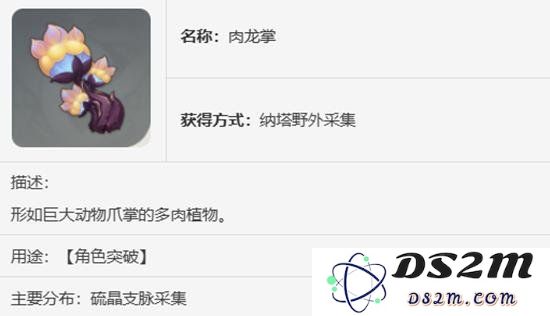 原神基尼奇养成材料肉龙掌路线一览：轻松掌握获取技巧？ 快速提升战力！