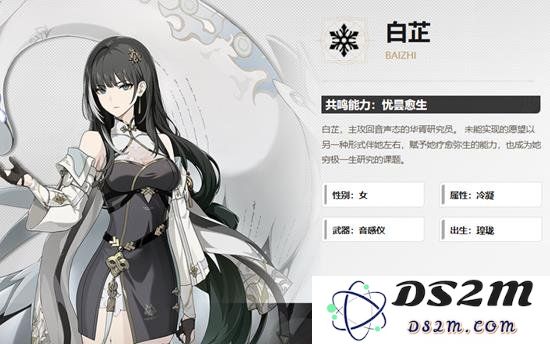 鸣潮白芷可以带什么武器 鸣潮白芷武器推荐：掌握这些武器让你战无不胜！