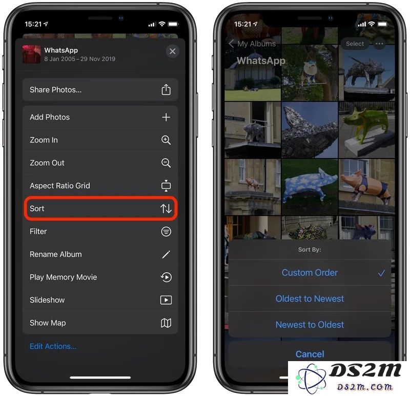 iOS 14 新功能揭秘：如何在 iPhone 照片应用内自定义图片与视频的排列顺序以提升使用体验