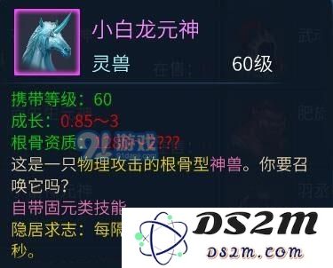 倩女幽魂手游灵兽对比：小白马与肥旋风哪个更具优势与实力？