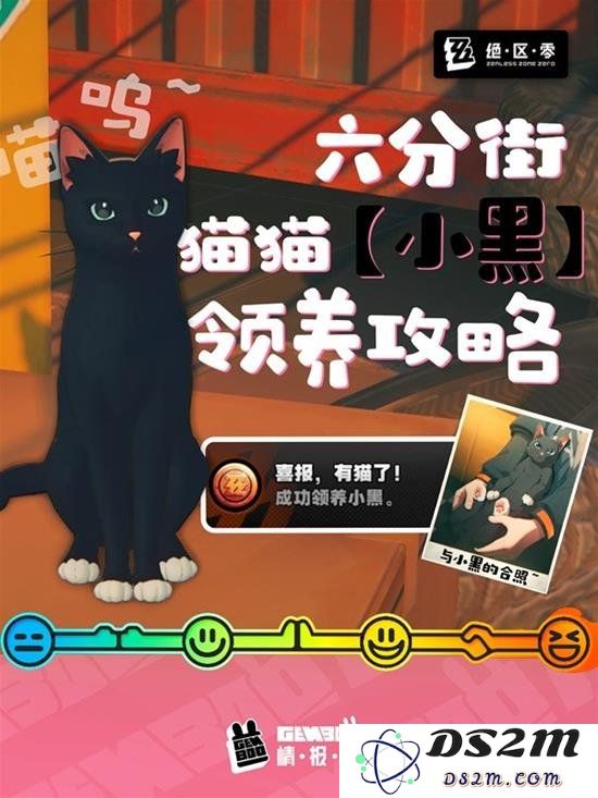 绝区零如何领养小黑猫 绝区零领养猫猫教程：领养秘籍大揭秘！ 共赴奇妙养猫之旅