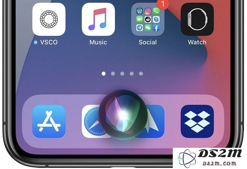 iOS 14.3 新奇体验：Siri 还能模仿各种动物、乐器声响等有趣功能