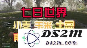 在七日世界中，变异小麦的具体位置如何寻找及其分布特点