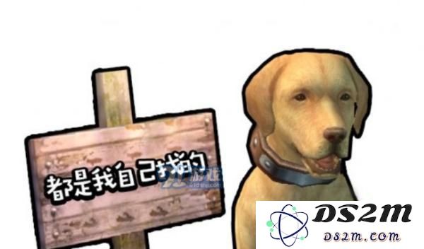 明日之后狗狗性格分类详解：13种狗狗性格特征汇总分析