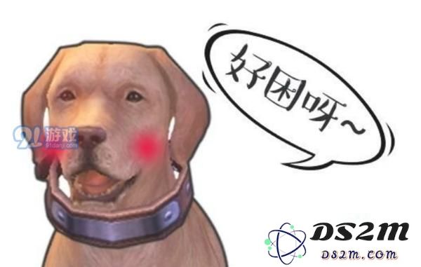 明日之后狗狗有哪几种性格 狗狗的13种性格介绍一览