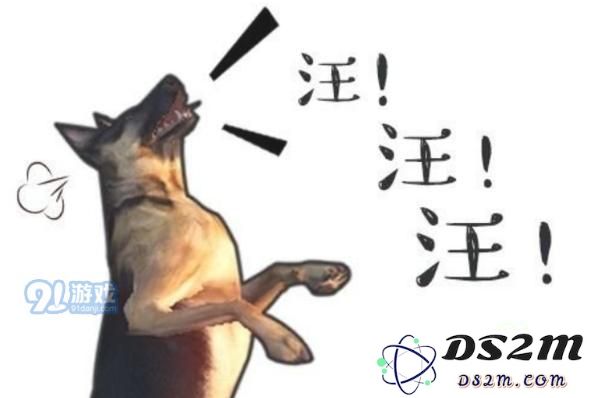 明日之后狗狗有哪几种性格 狗狗的13种性格介绍一览