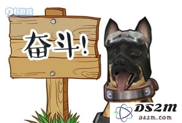明日之后狗狗有哪几种性格 狗狗的13种性格介绍一览