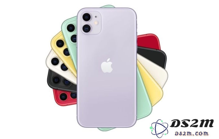 当你的iPhone 11触摸屏停止响应时应该采取哪些有效措施和解决方案