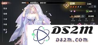 三国志幻想大陆2枭之歌丁夏角色阵容最佳搭配方案与玩法分析