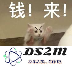 DeepMind元老创业AI编程：亮相即获1.55亿美元，英伟达红杉抢着投，团队太豪华了！