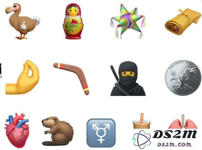 iOS 14.2 RC 版本带来了哪些新特性？附详细升级步骤介绍